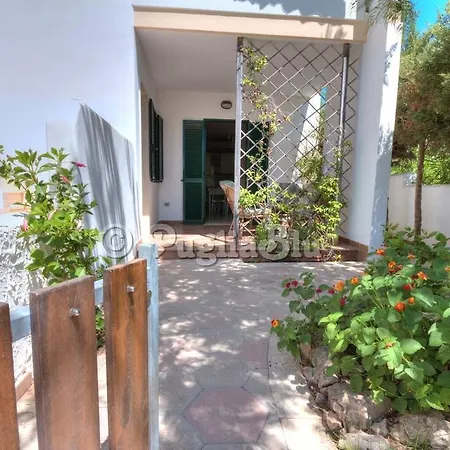 Holiday Homes - Baia Verde Holiday home *